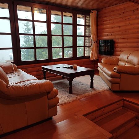 "Nest" The Wooden Suite By Ski Alure Eptálofos Dış mekan fotoğraf